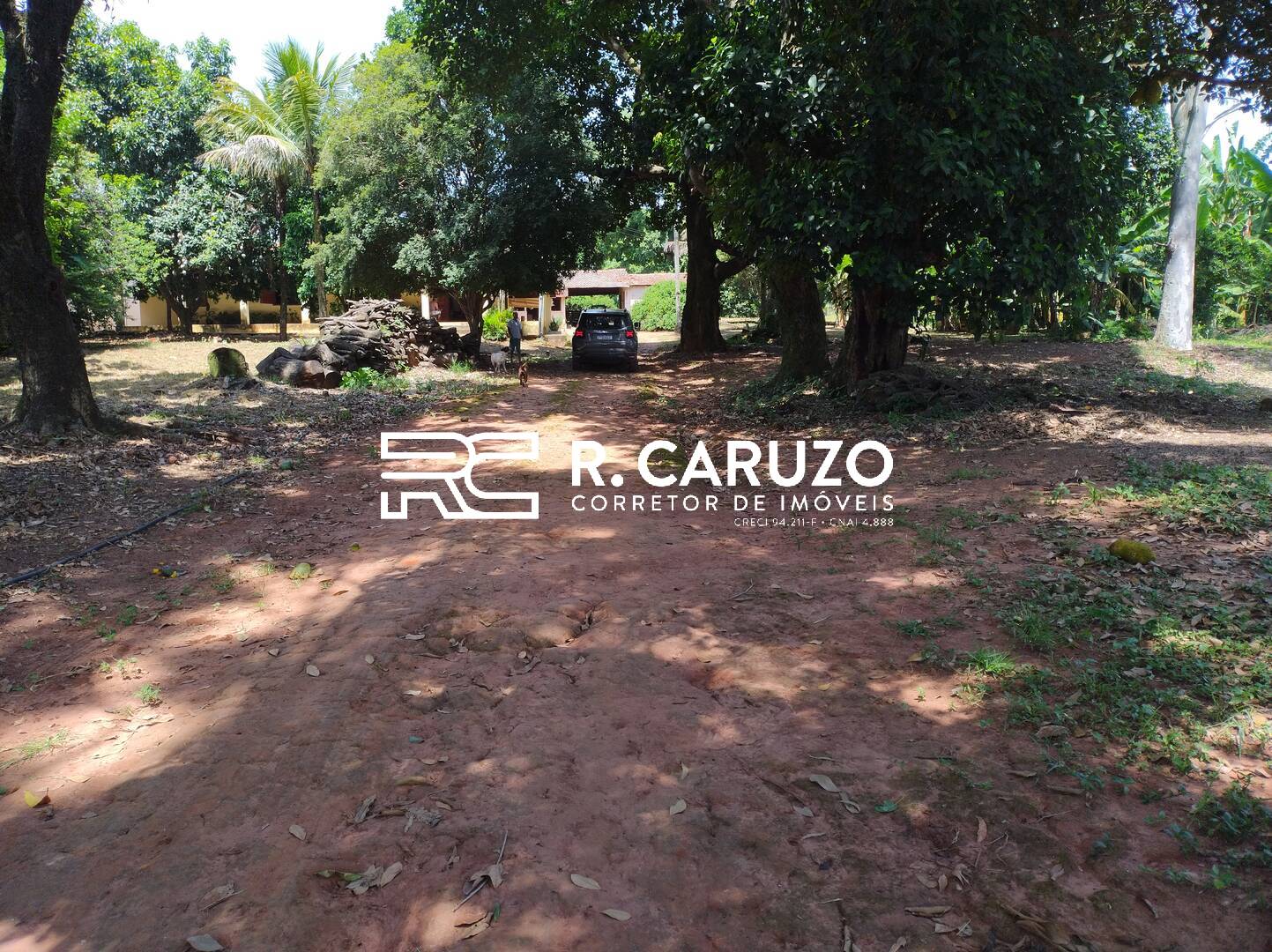 Fazenda à venda com 3 quartos, 300m² - Foto 5