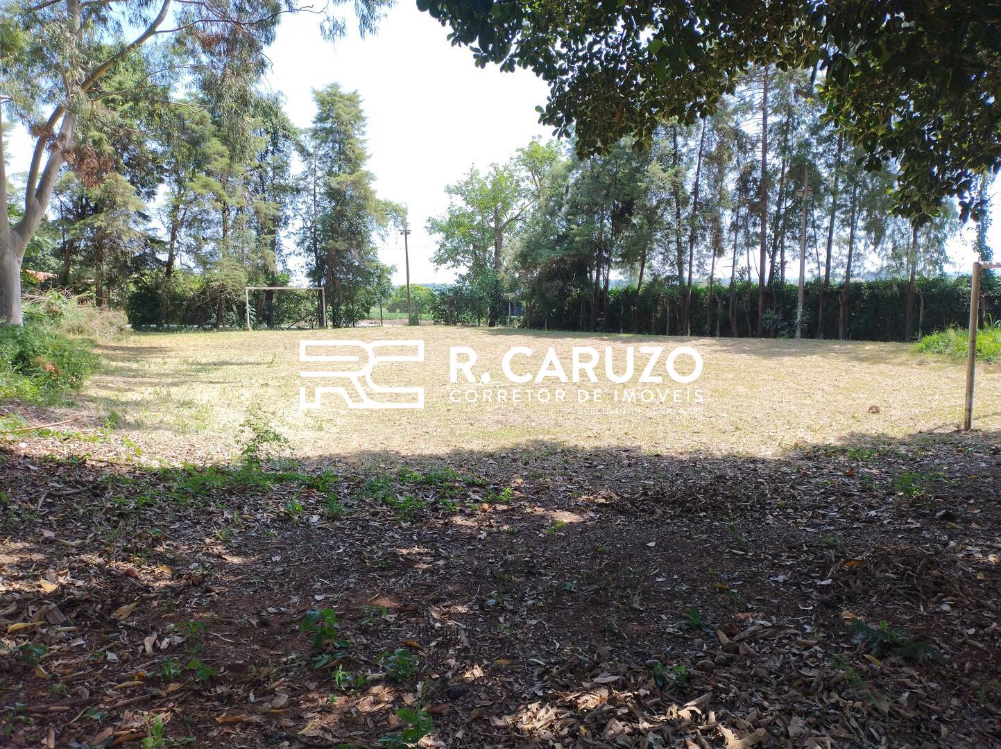 Fazenda à venda com 3 quartos, 300m² - Foto 6