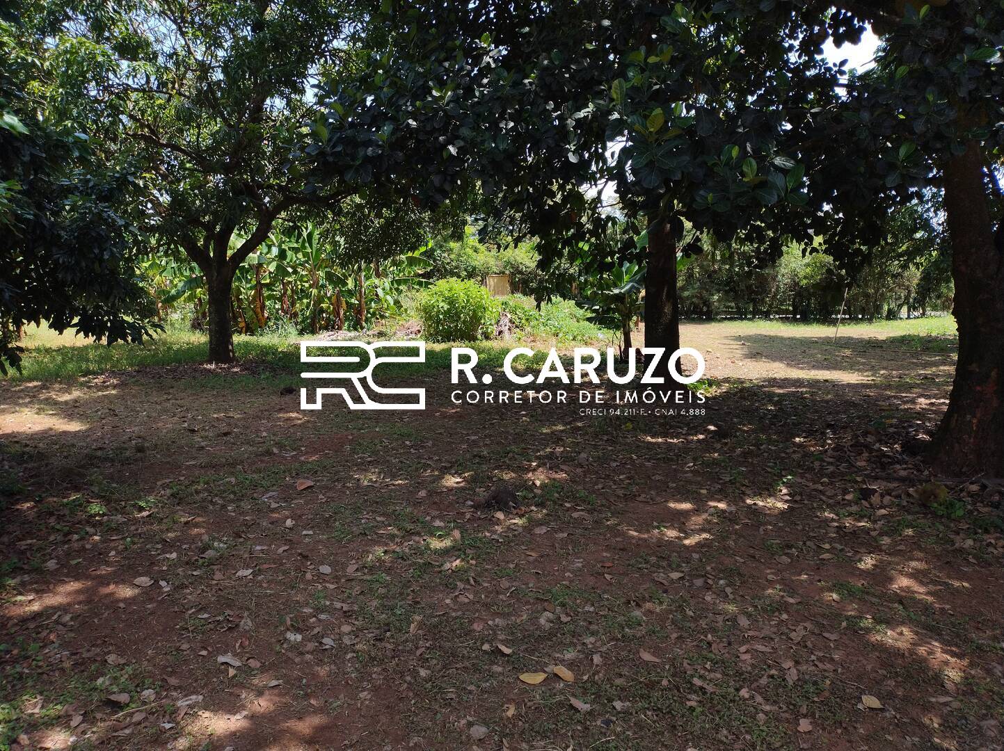 Fazenda à venda com 3 quartos, 300m² - Foto 12