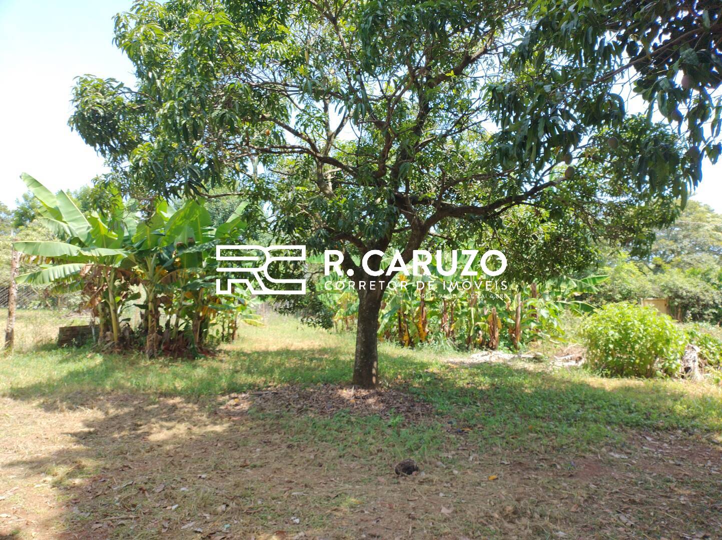 Fazenda à venda com 3 quartos, 300m² - Foto 15