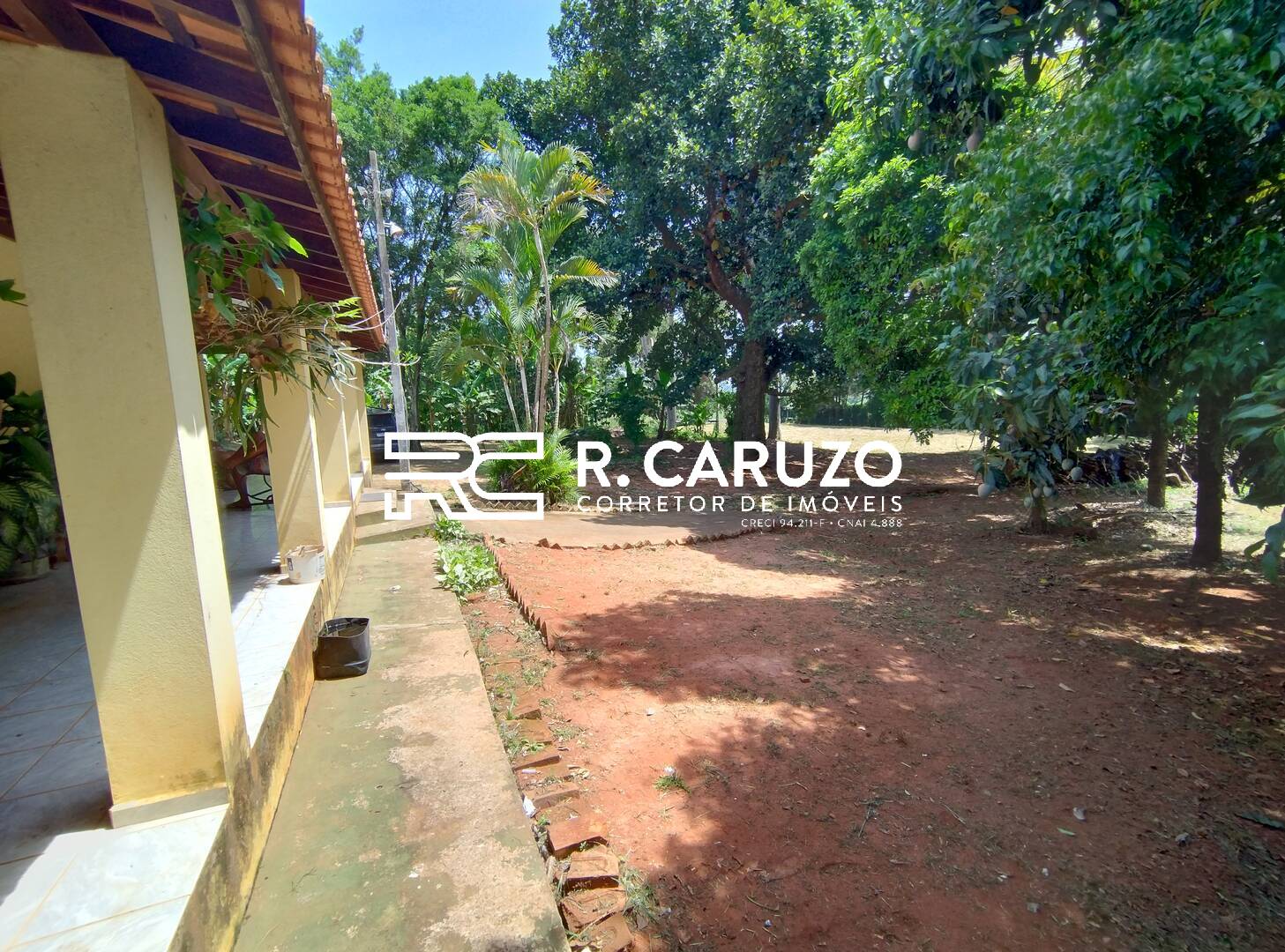 Fazenda à venda com 3 quartos, 300m² - Foto 4