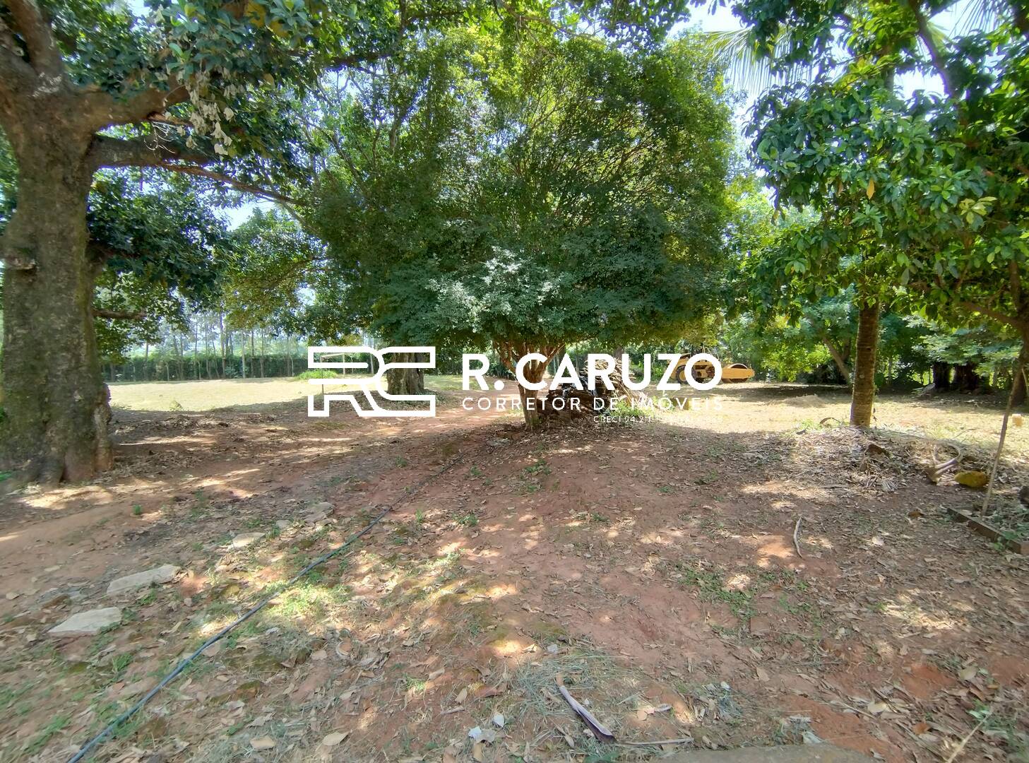 Fazenda à venda com 3 quartos, 300m² - Foto 27