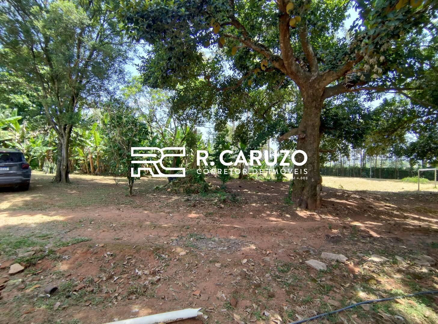 Fazenda à venda com 3 quartos, 300m² - Foto 28