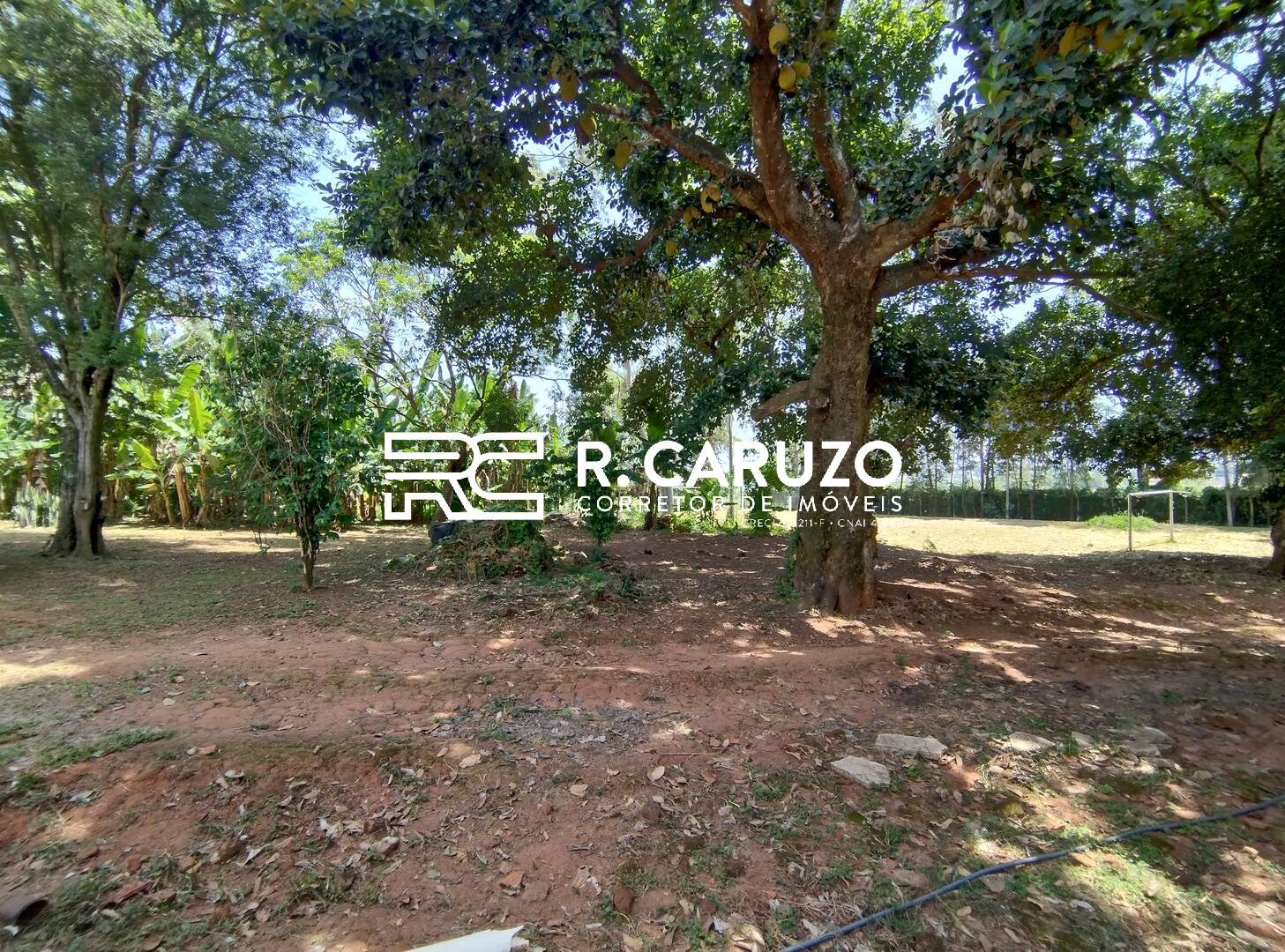 Fazenda à venda com 3 quartos, 300m² - Foto 29