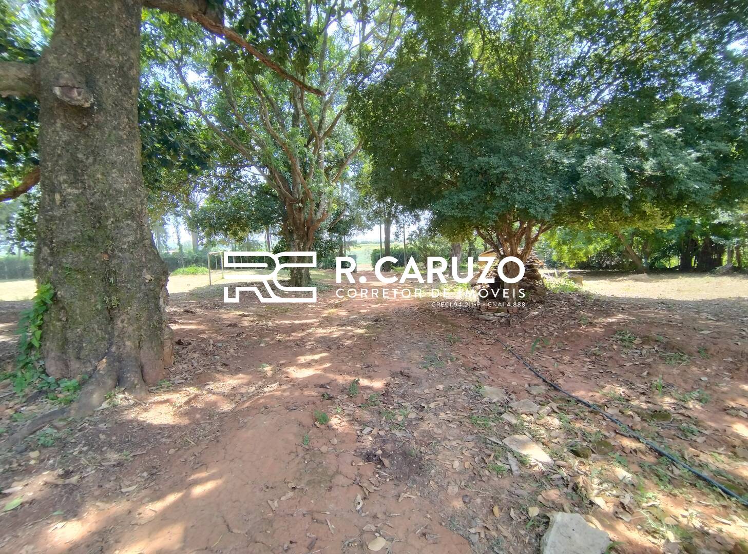 Fazenda à venda com 3 quartos, 300m² - Foto 30